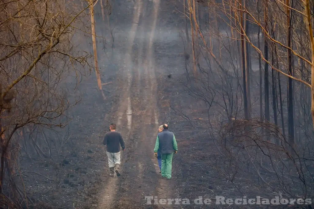 La pérdida de biodiversidad nos acerca a un planeta más vulnerable