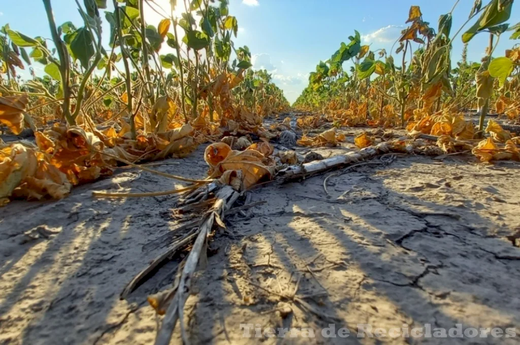 Políticas nacionales para proteger el medio ambiente