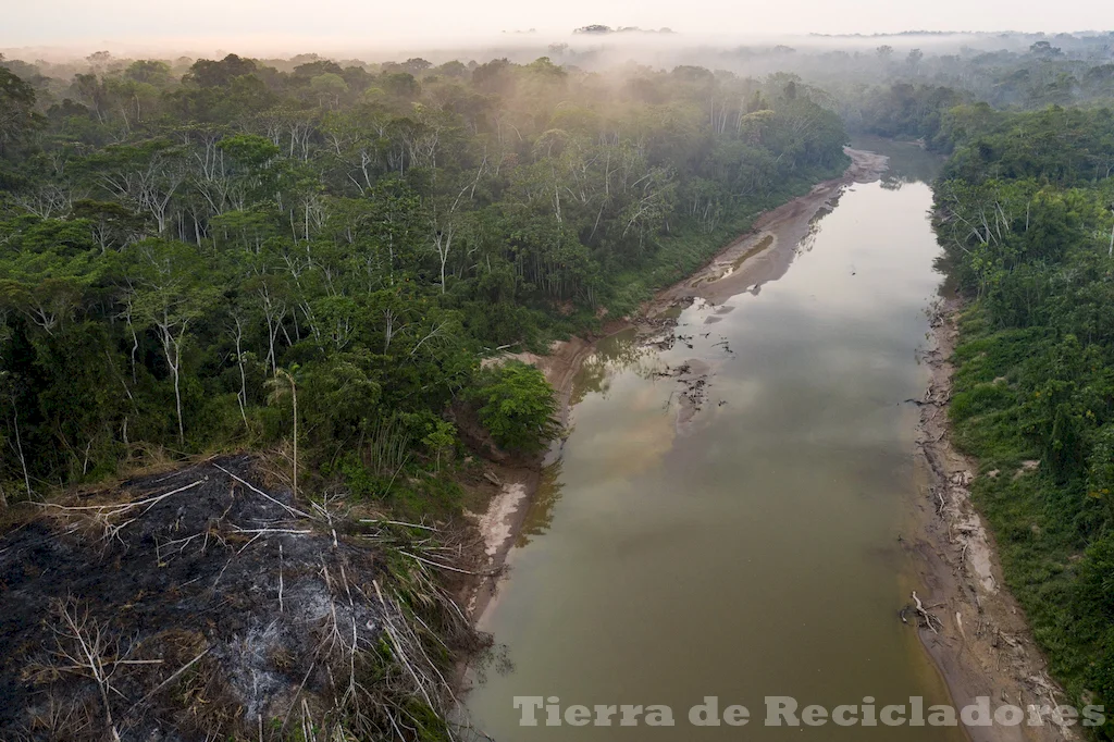 La conservación del medio ambiente enfrenta desafíos importantes