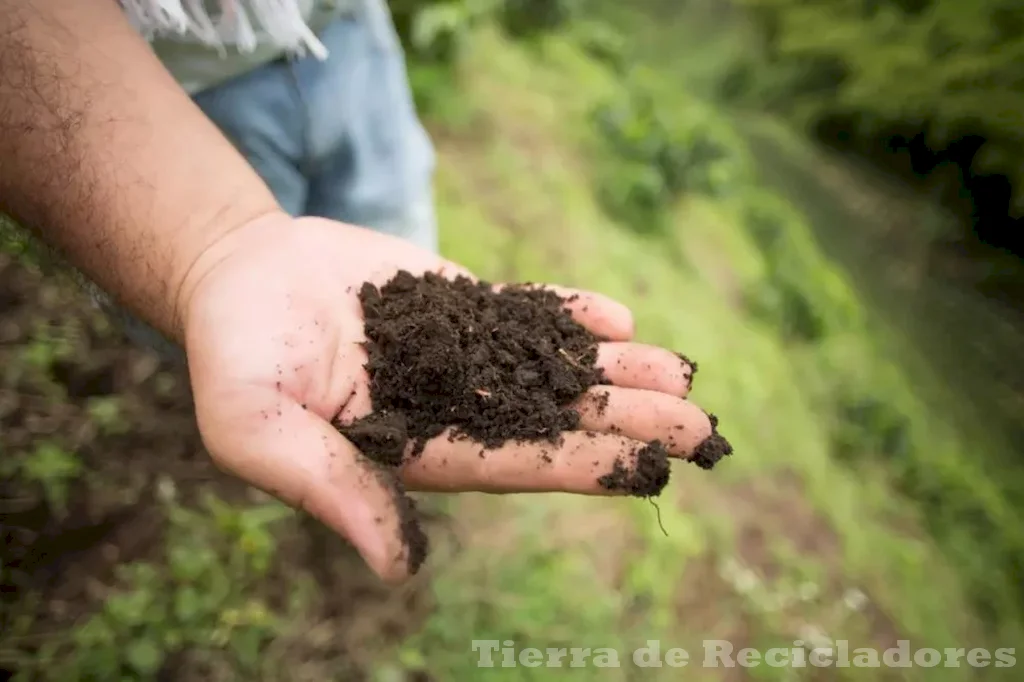 Preservamos la biodiversidad para un futuro sostenible