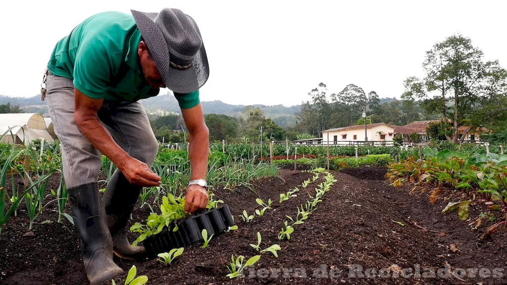 Una forma sostenible de cultivar