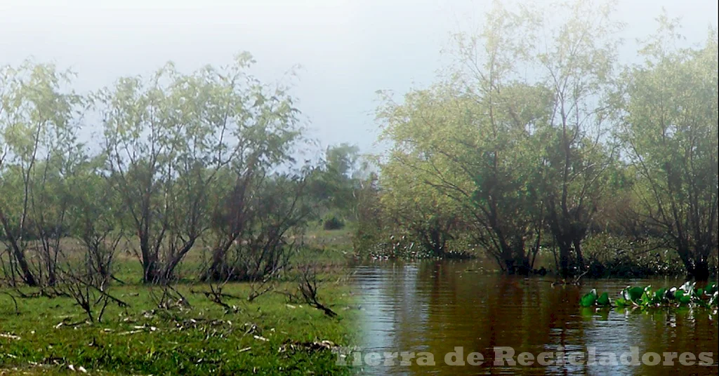 La protección y conservación de las aguas continentales son fundamentales para el medio ambiente