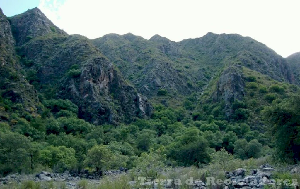 Conservación y protección de ecosistemas forestales