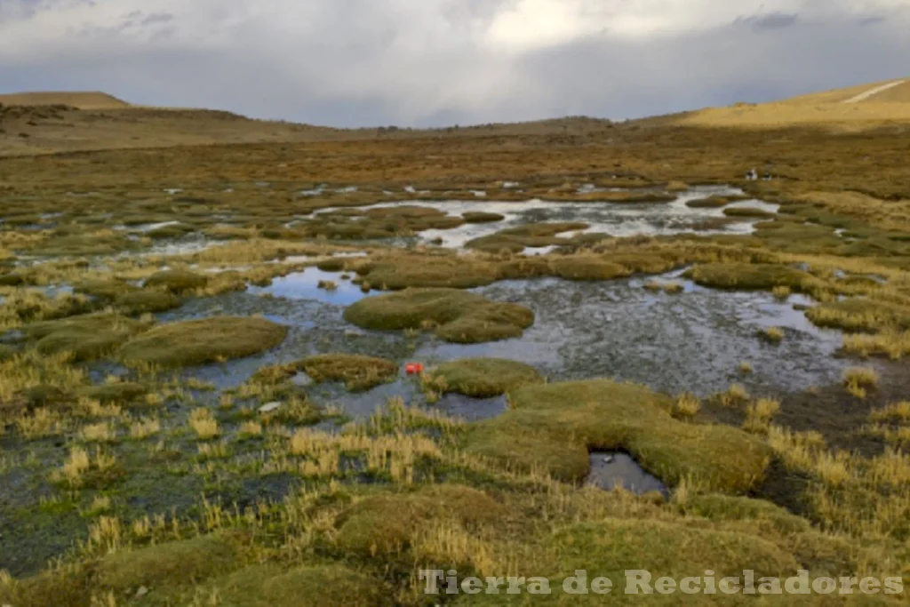 Conocer Puna ecosistemas y atractivos naturales en la región andina