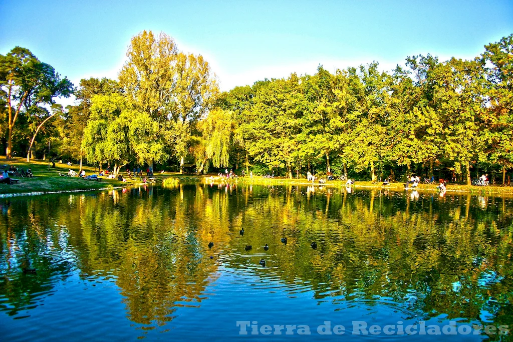 Ecosistemas vivos y su importancia en la naturaleza