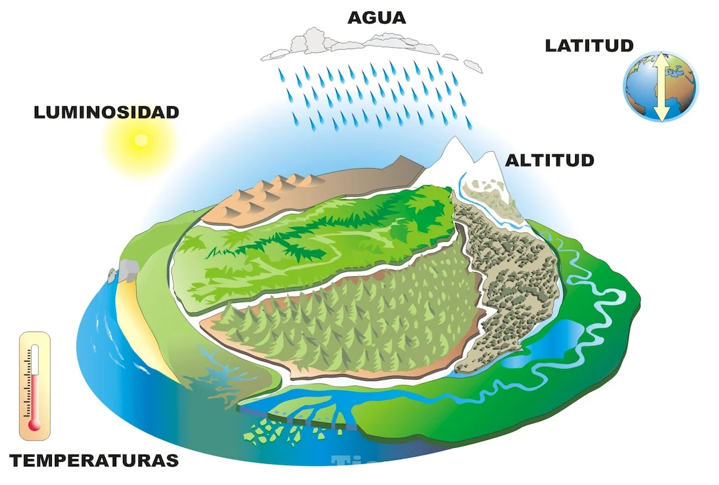 El biotopo un ecosistema natural con vida diversa