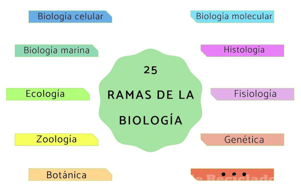 La biología estudia la vida en todas sus formas