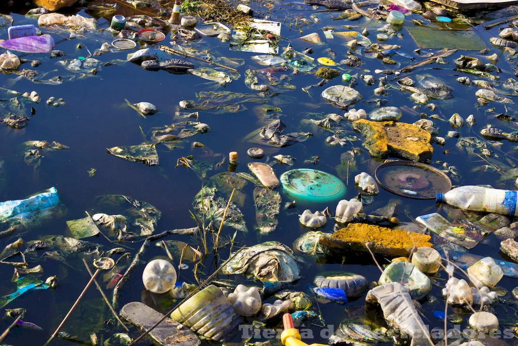 La contaminación del agua es un problema grave que afecta a la salud humana