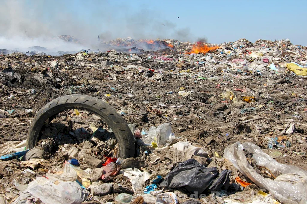 La contaminación del suelo causas, efectos y soluciones