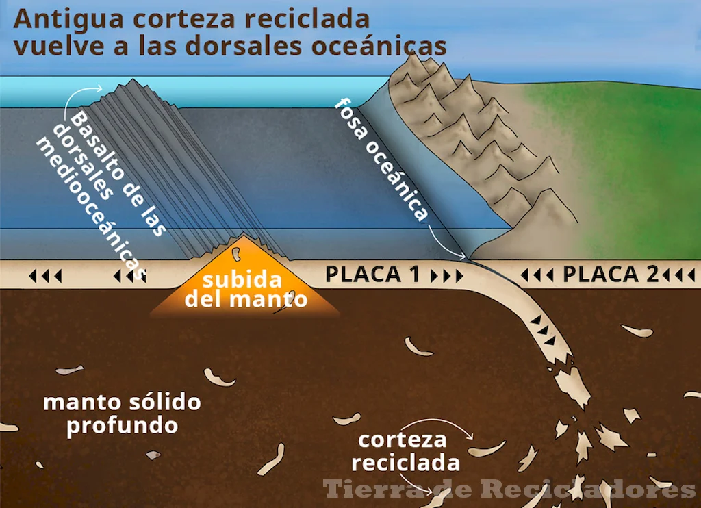 La capa oceánica juega un papel fundamental en la formación