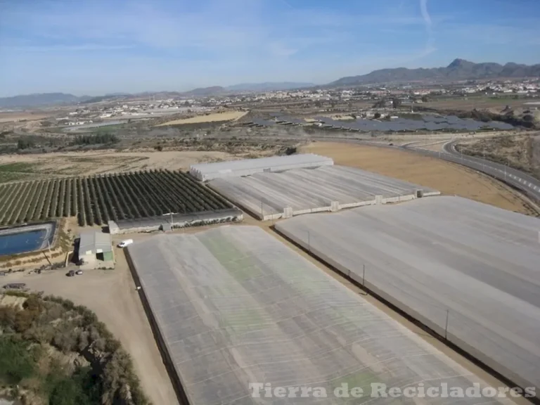 La desertificación conocidos básicos y impacto ambiental