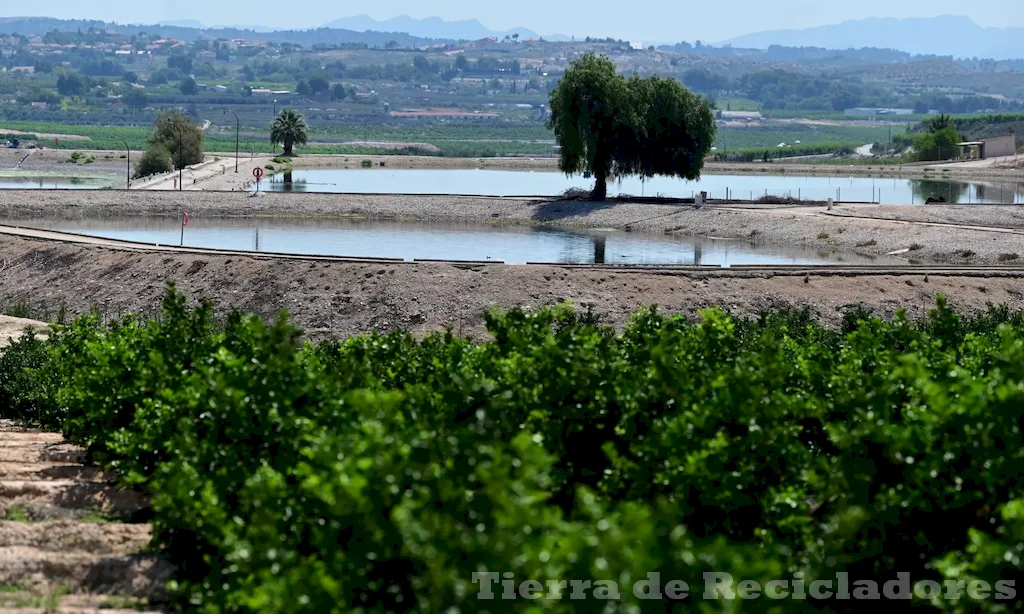 La escasez de agua es un grave problema para el medio ambiente