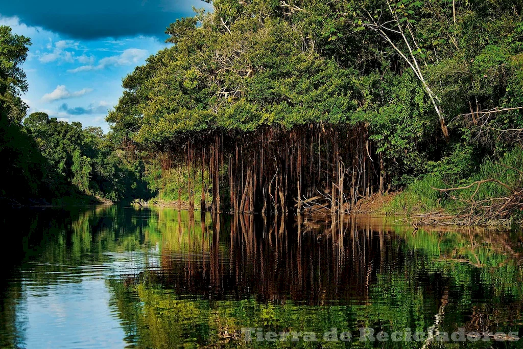 La selva amazónica es un ecosistema rico en biodiversidad