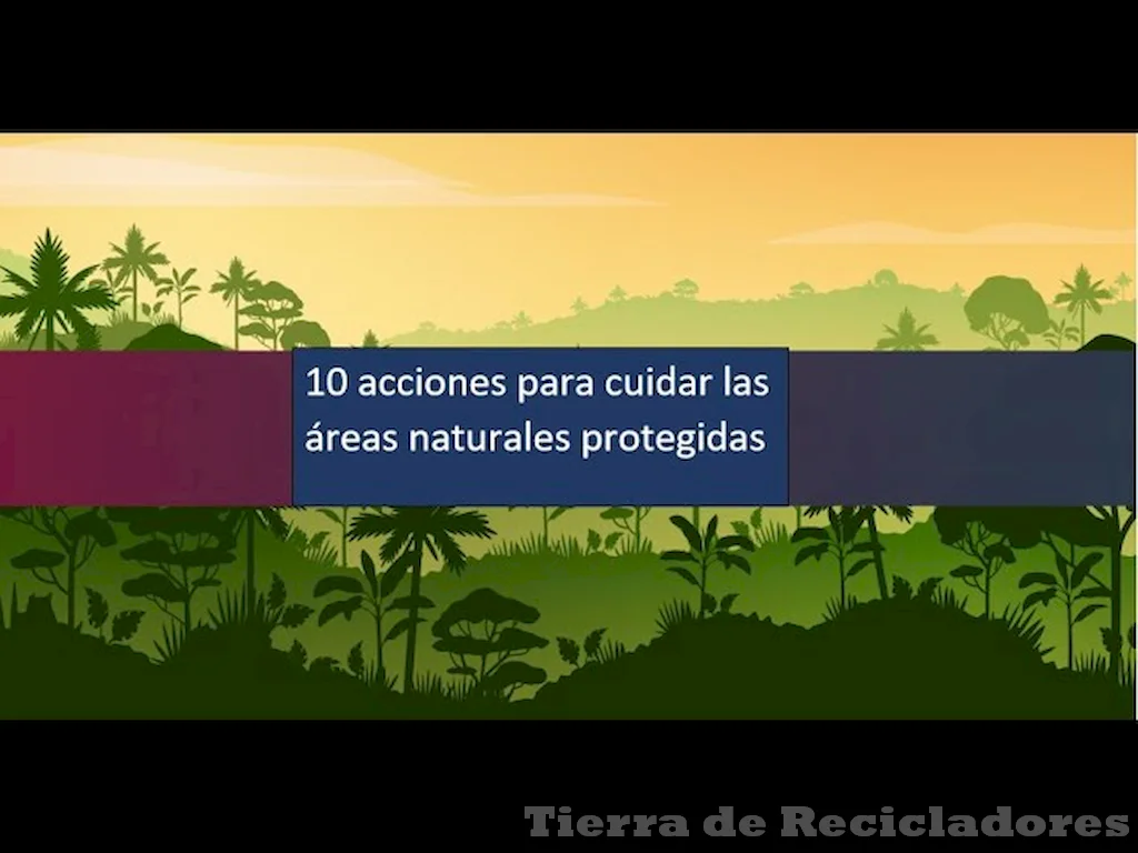 Conservar y proteger el medio ambiente natural