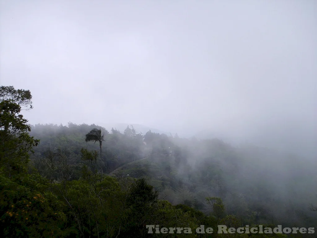 Ecosistemas importantes para la biodiversidad