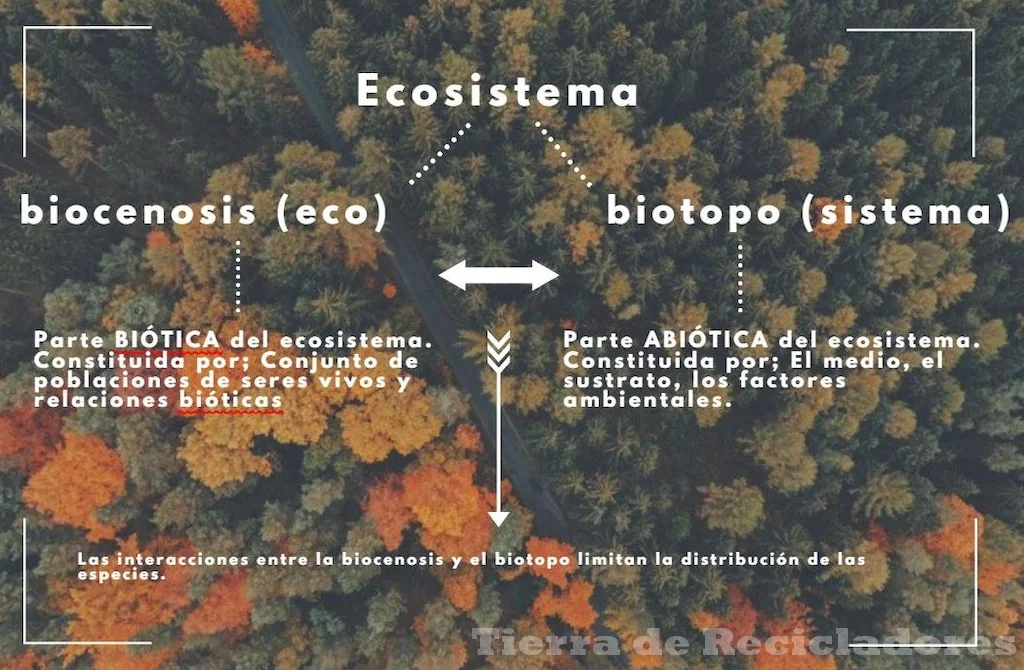 Los componentes que interactúan para mantener el equilibrio ecológico