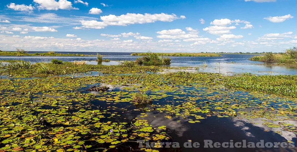 Ecosistemas importantes para la biodiversidad