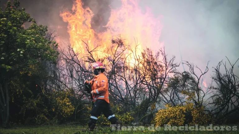 Combatiendo incendios forestales con métodos efectivos