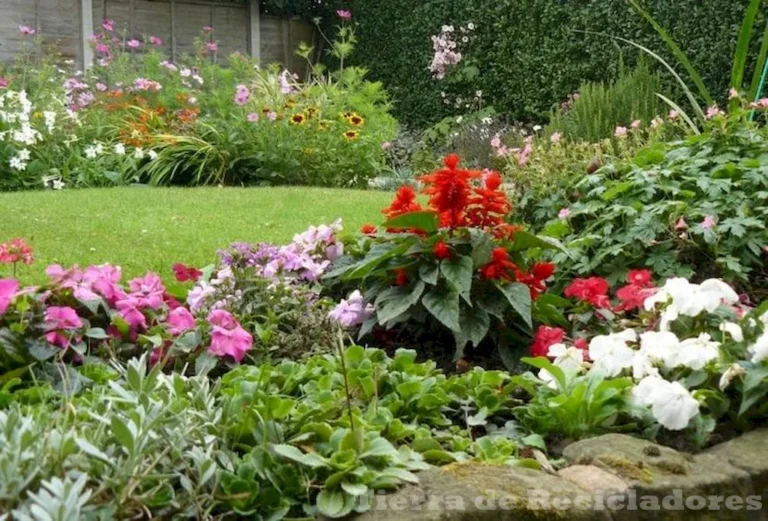 Explora las ramas de la botánica y descubre sus aplicaciones