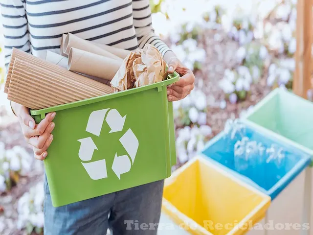 Consejos y beneficios del reciclaje de papel y cartón