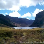 Descubre la diversidad de la naturaleza en la Región Andina