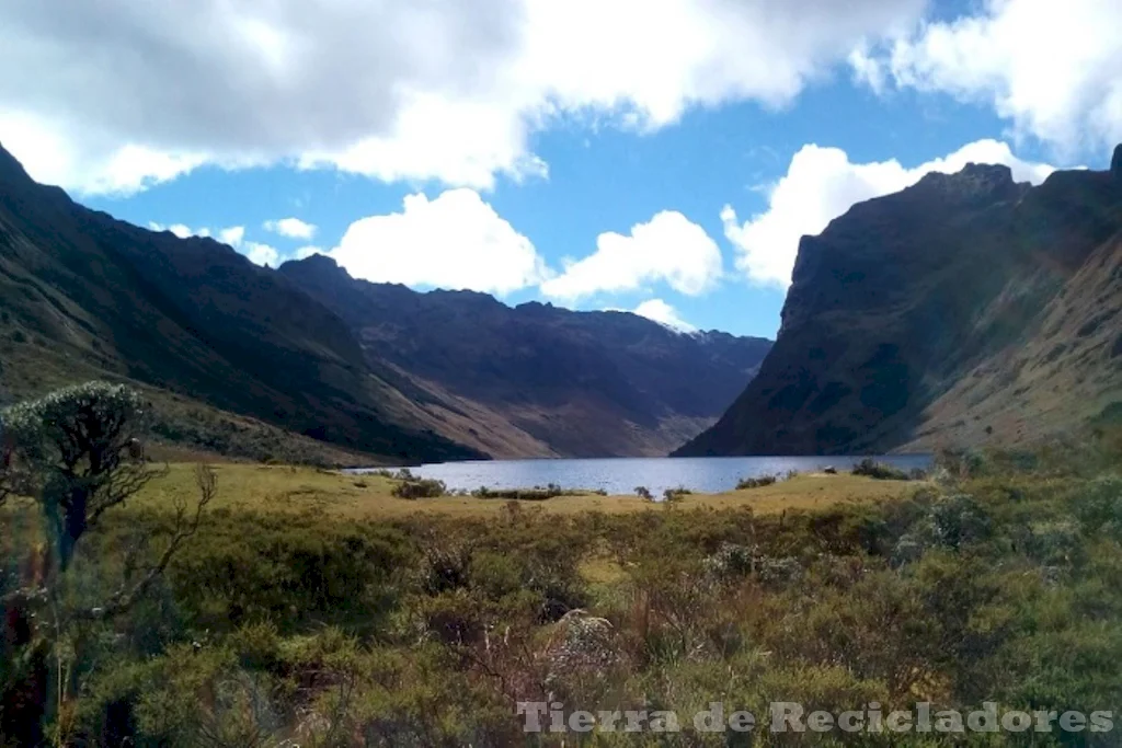 Descubre la diversidad de la naturaleza en la Región Andina