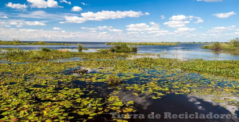 Conozca los tipos de regiones naturales y sus características más destacadas