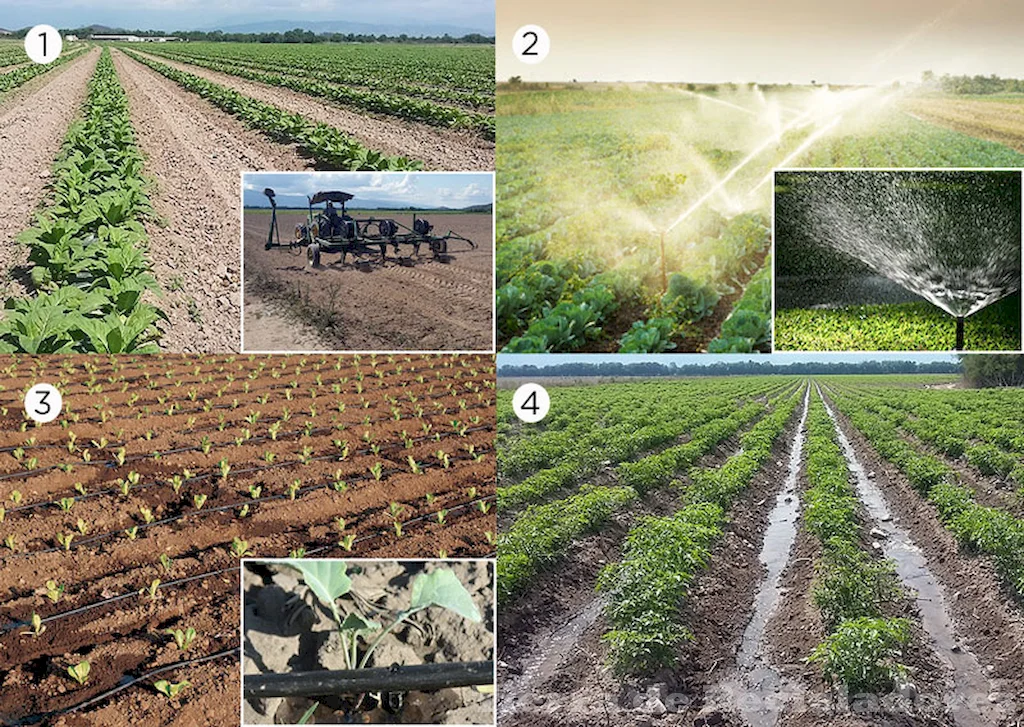 La gestión del agua en la agricultura