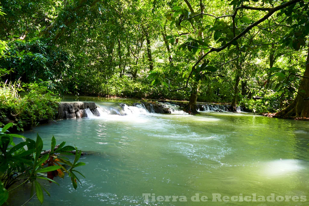 Protegiendo la ecosfera y sus ecosistemas naturales