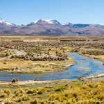 Descubre la diversa biología de Serranía Esteparia