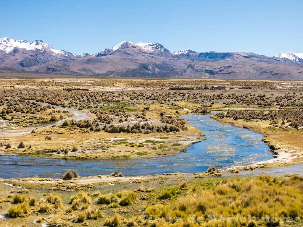 Descubre la diversa biología de Serranía Esteparia