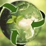 Ecología sostenible en acción