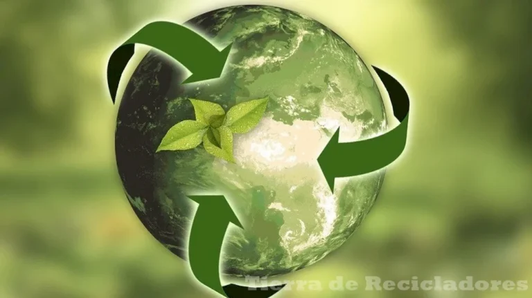 Ecología sostenible en acción