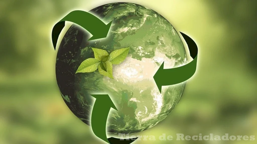 Ecología sostenible en acción