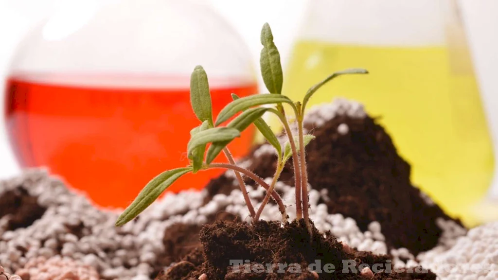 Protegiendo nuestro planeta a través de la reducción, el reuso y el reciclaje