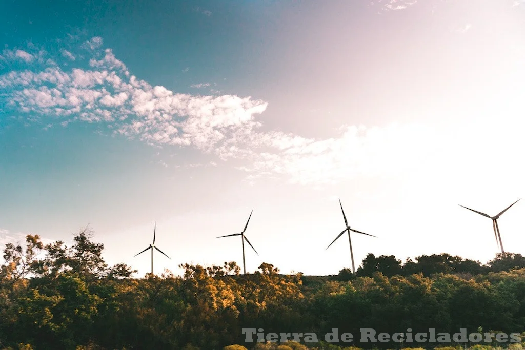 Energías renovables, la clave para un futuro sostenible