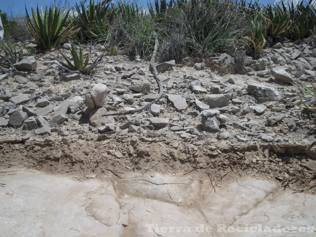 Suelos influenciados por la topografía y el agua