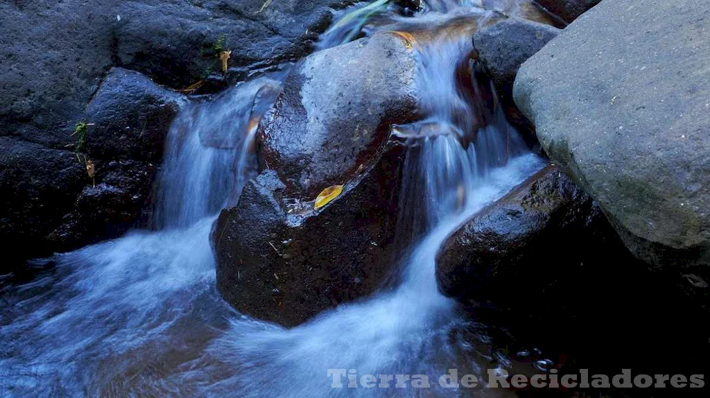 La temperatura del agua es un buen indicador