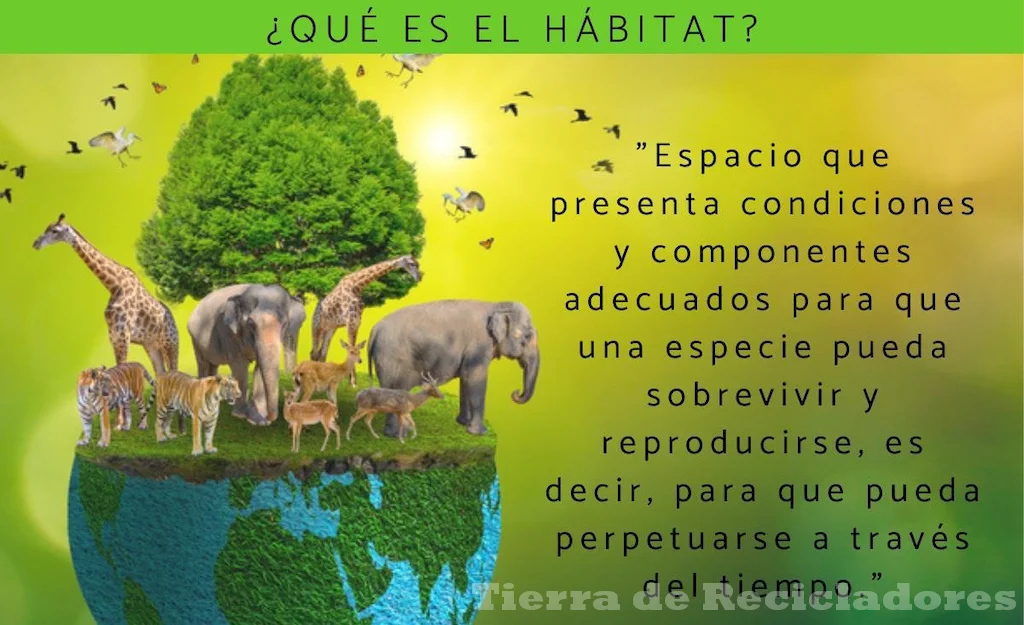 Clasificación de ecosistemas y comunidades vivas