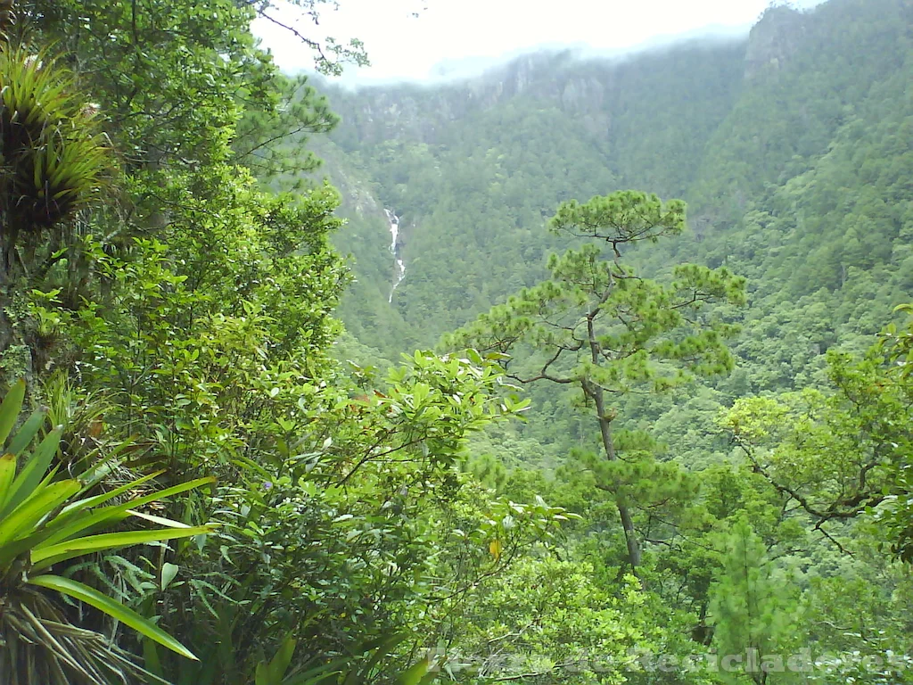 Ecosistemas terrestres variados