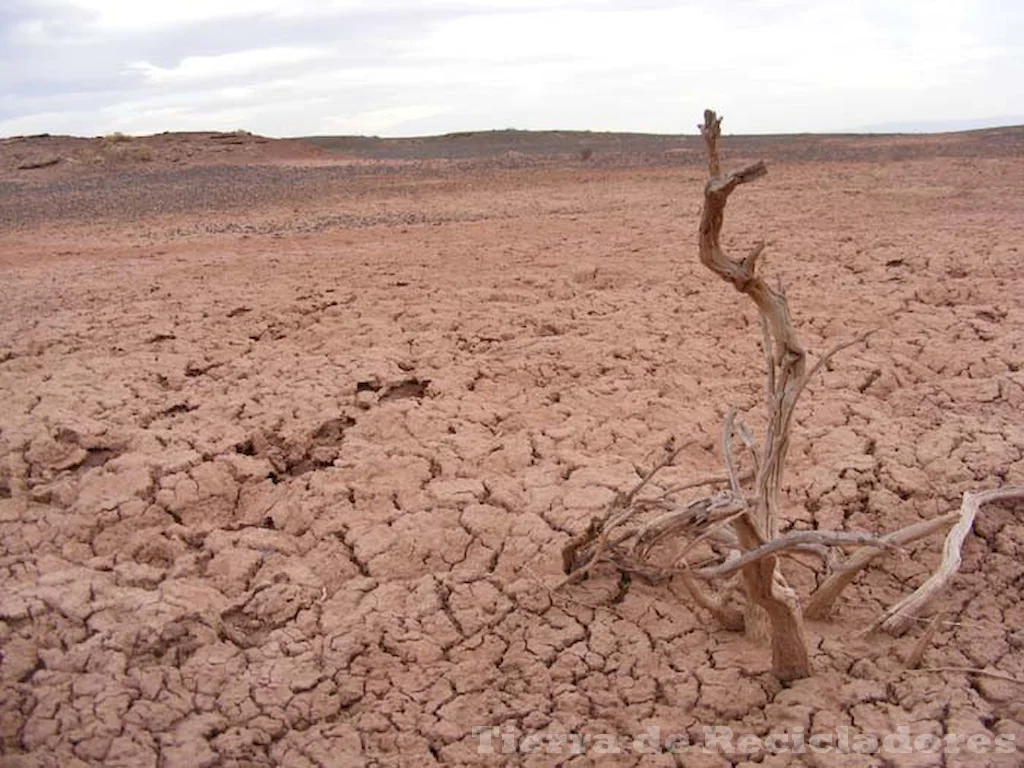 El cambio climático y el uso sostenible de suelos