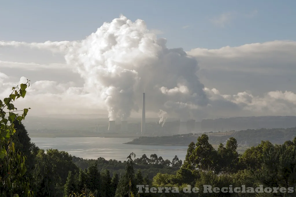 El cuidado al medio ambiente es clave para mitigar los efectos del calentamiento global